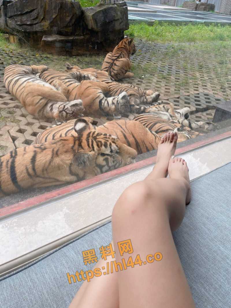 800X1066