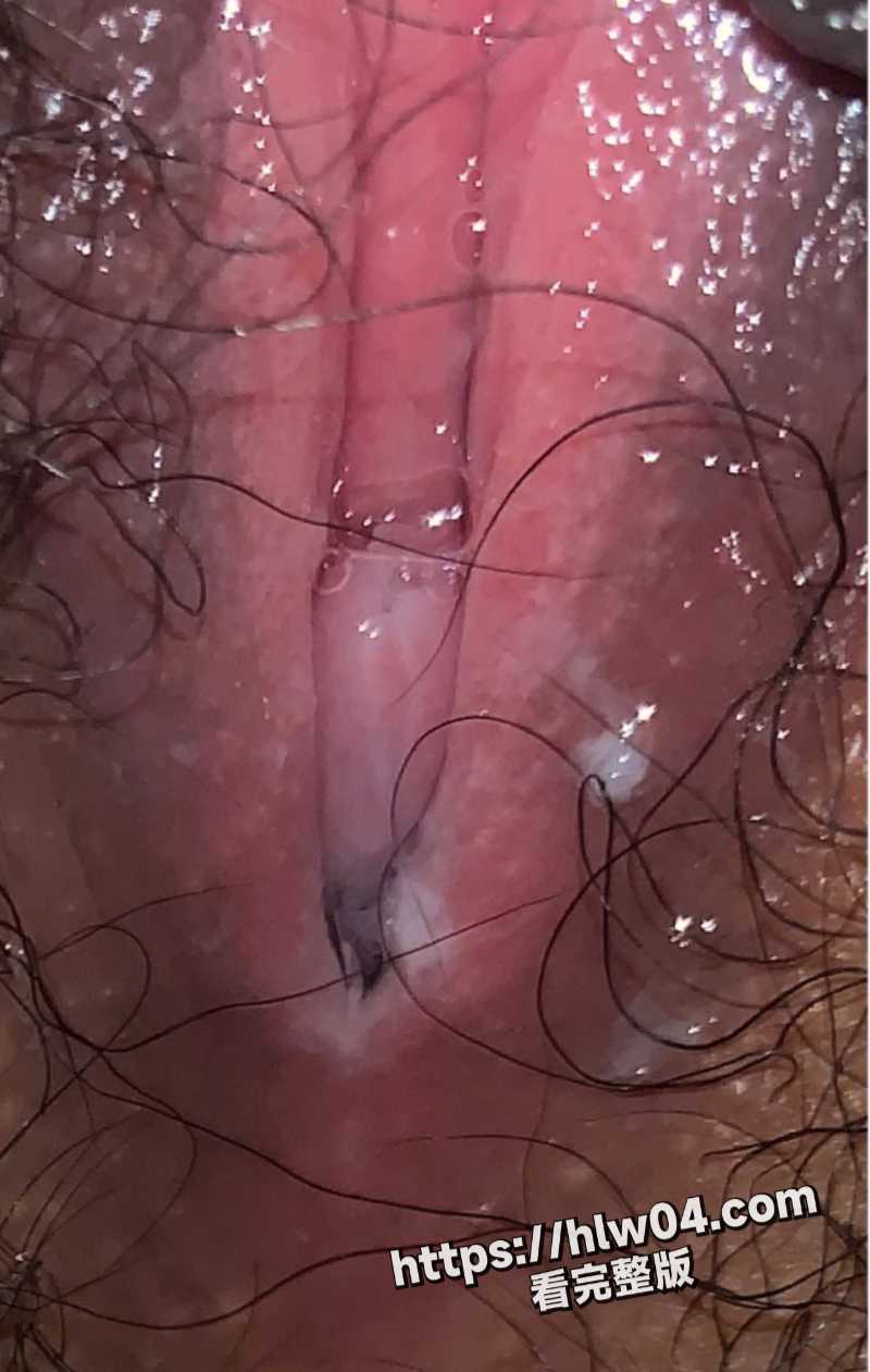 800X1261