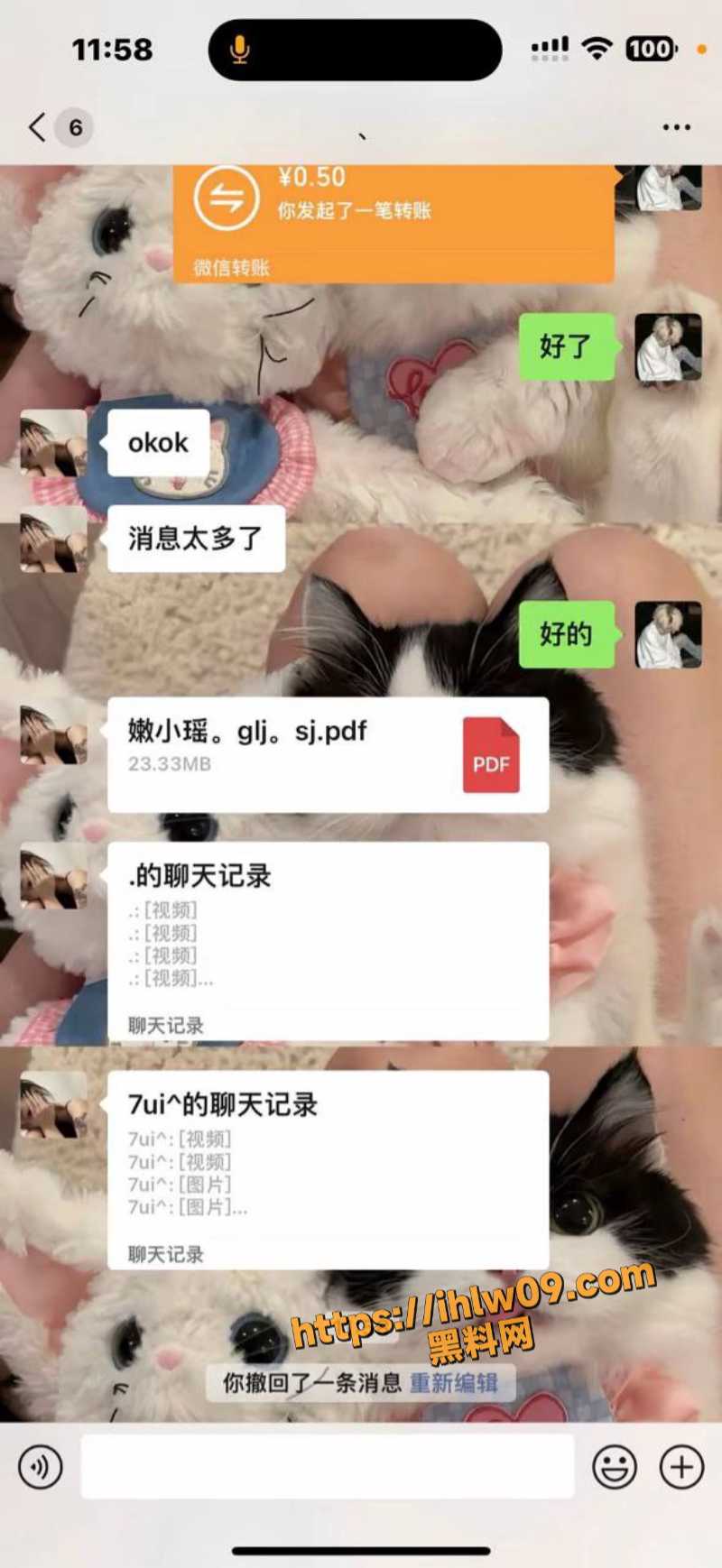 800X1738