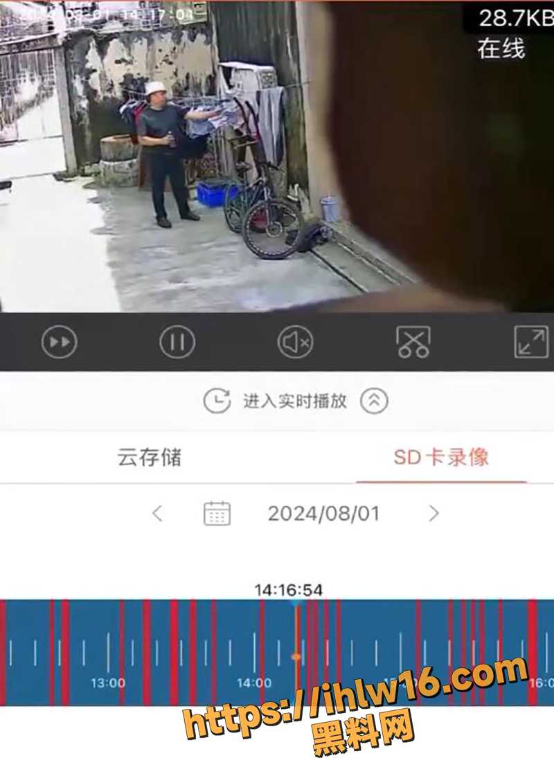 800X1095
