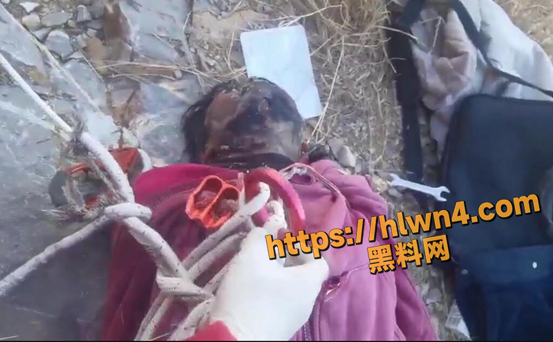 800X495