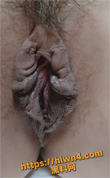 366X593