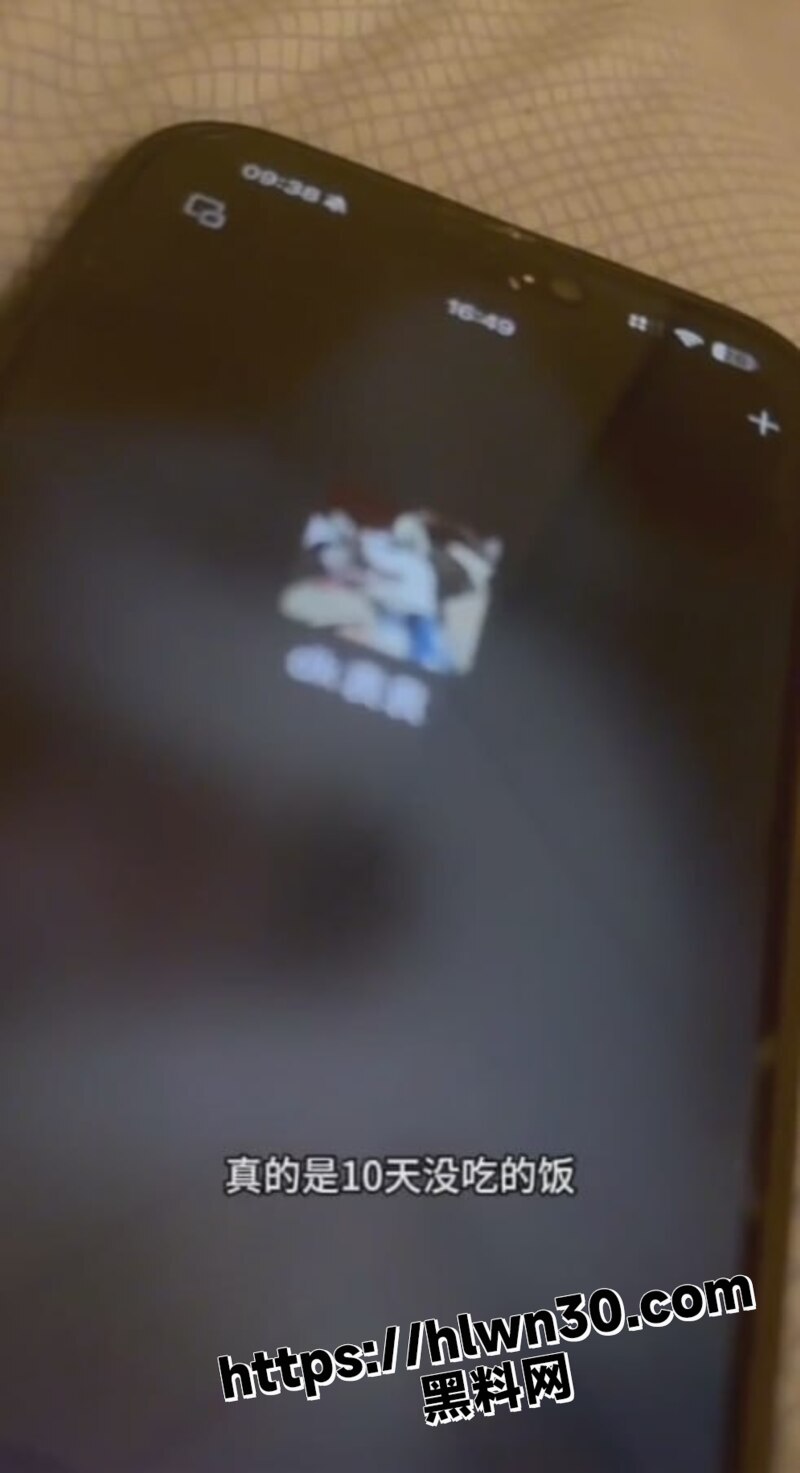 800X1473