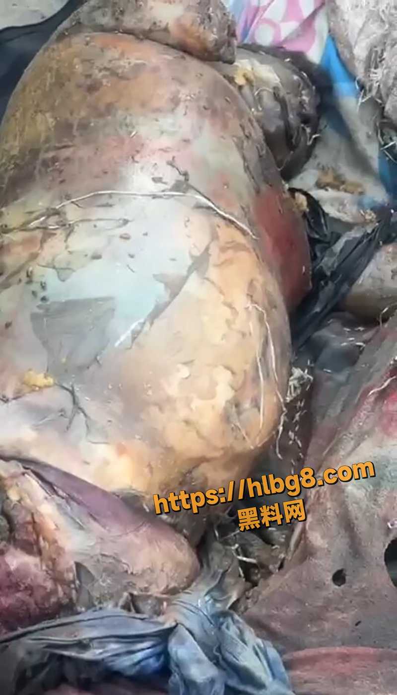 QQ截图20250605165701 拷贝