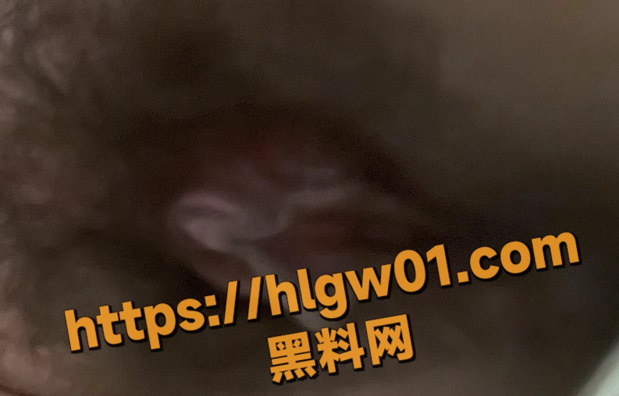 IMAGE 20250801 11:39:50