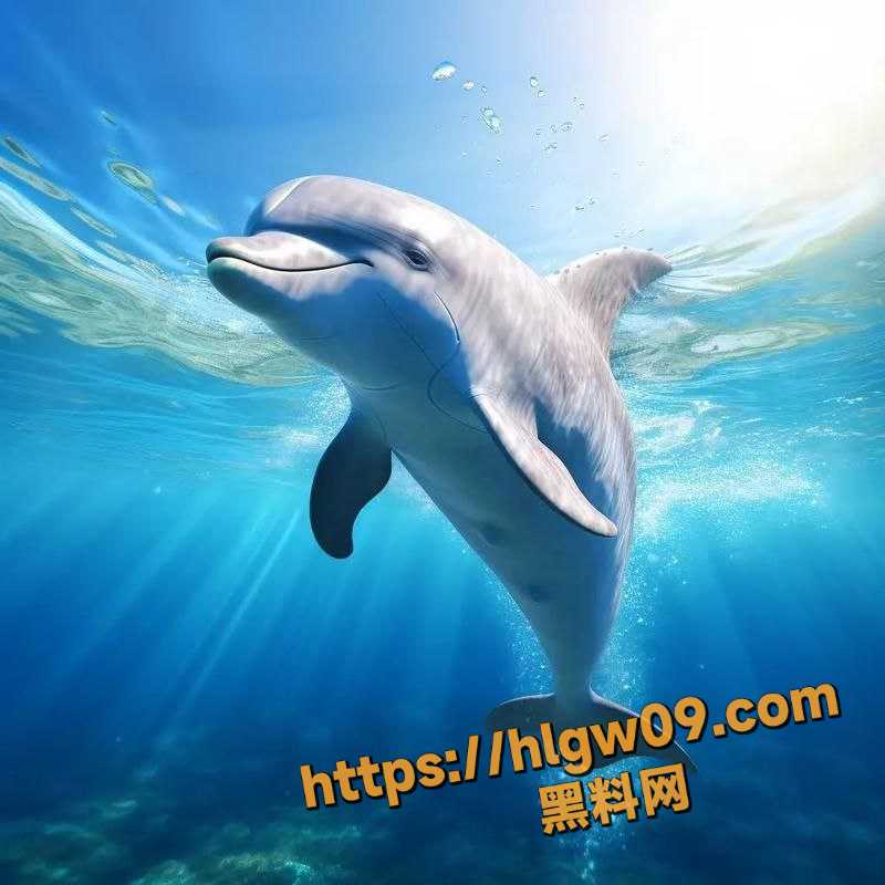 IMAGE 20250901 16:35:42