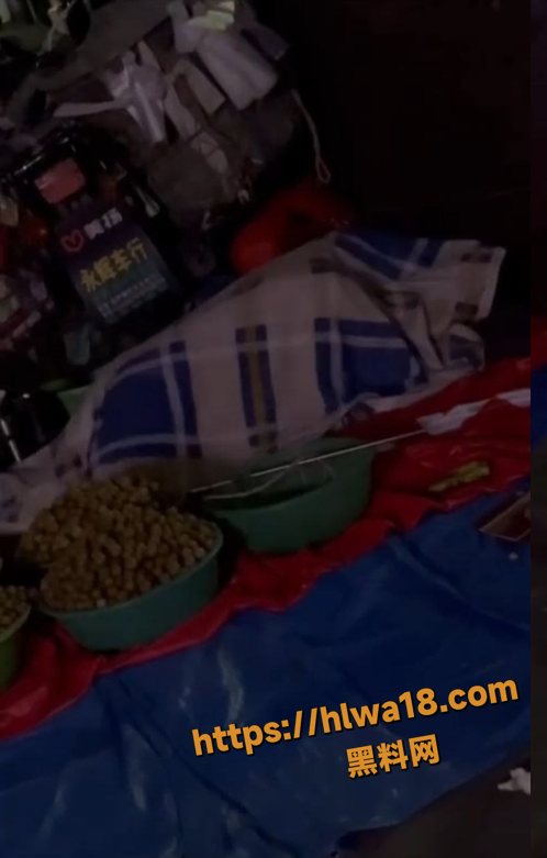 QQ20251114142510