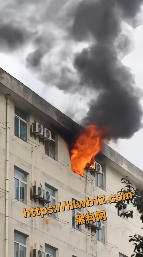 QQ20251204124126