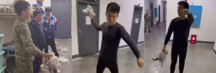 下载7