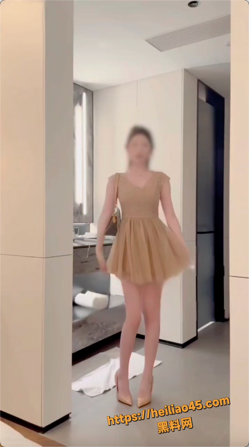 一只顶美上门被无套内射1