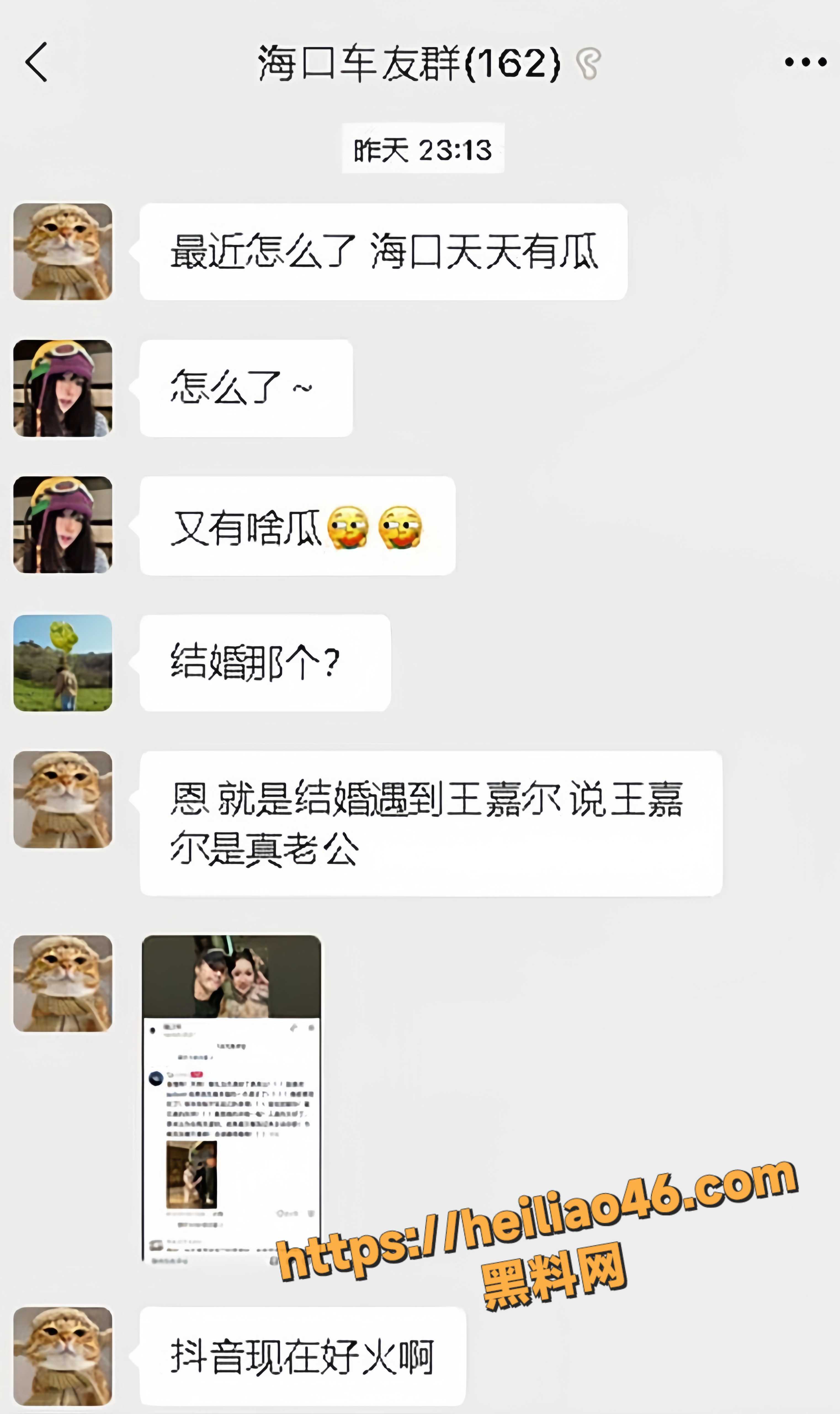 玛丽猫13