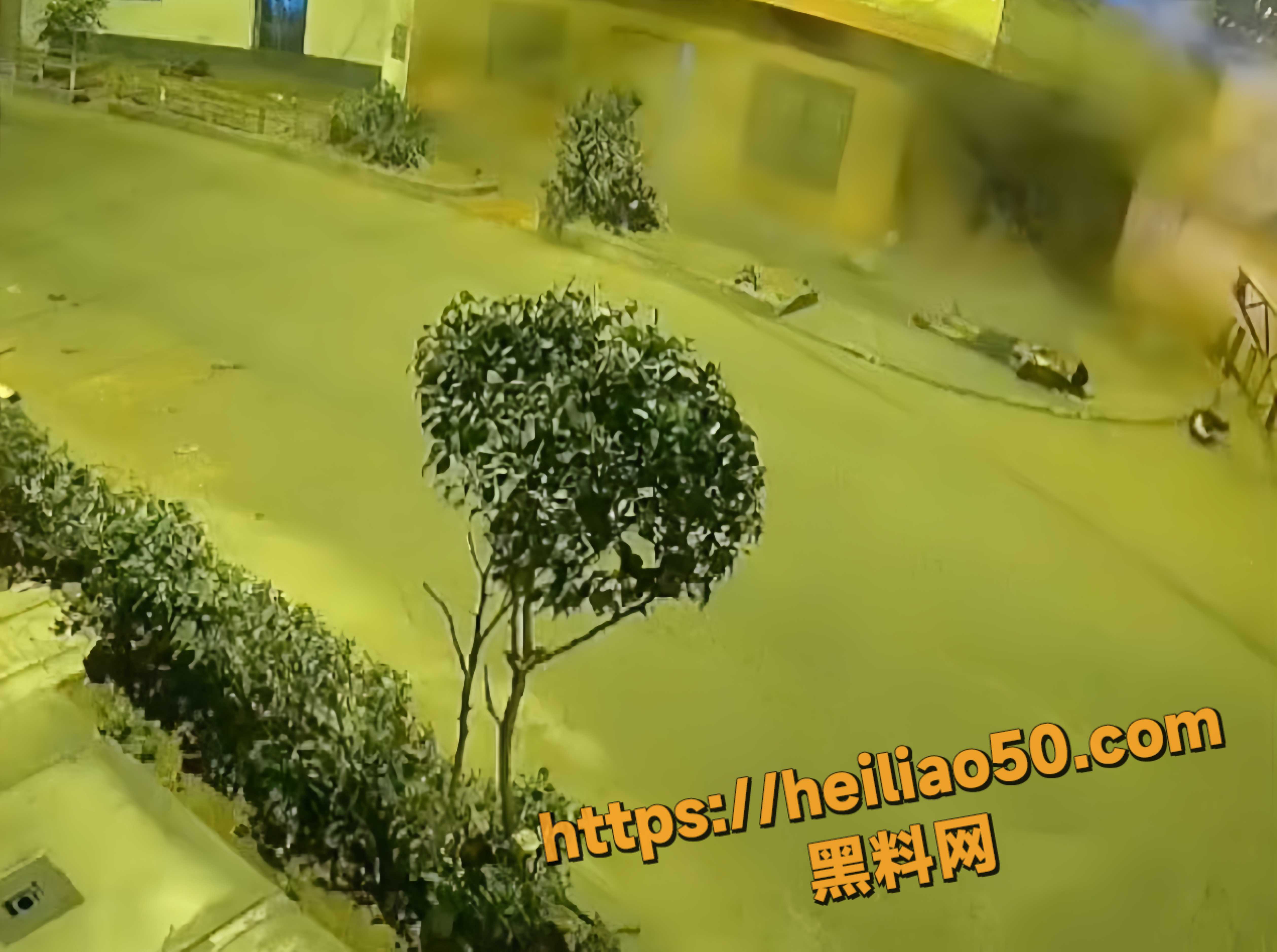 国外小伙自炸手臂视频2