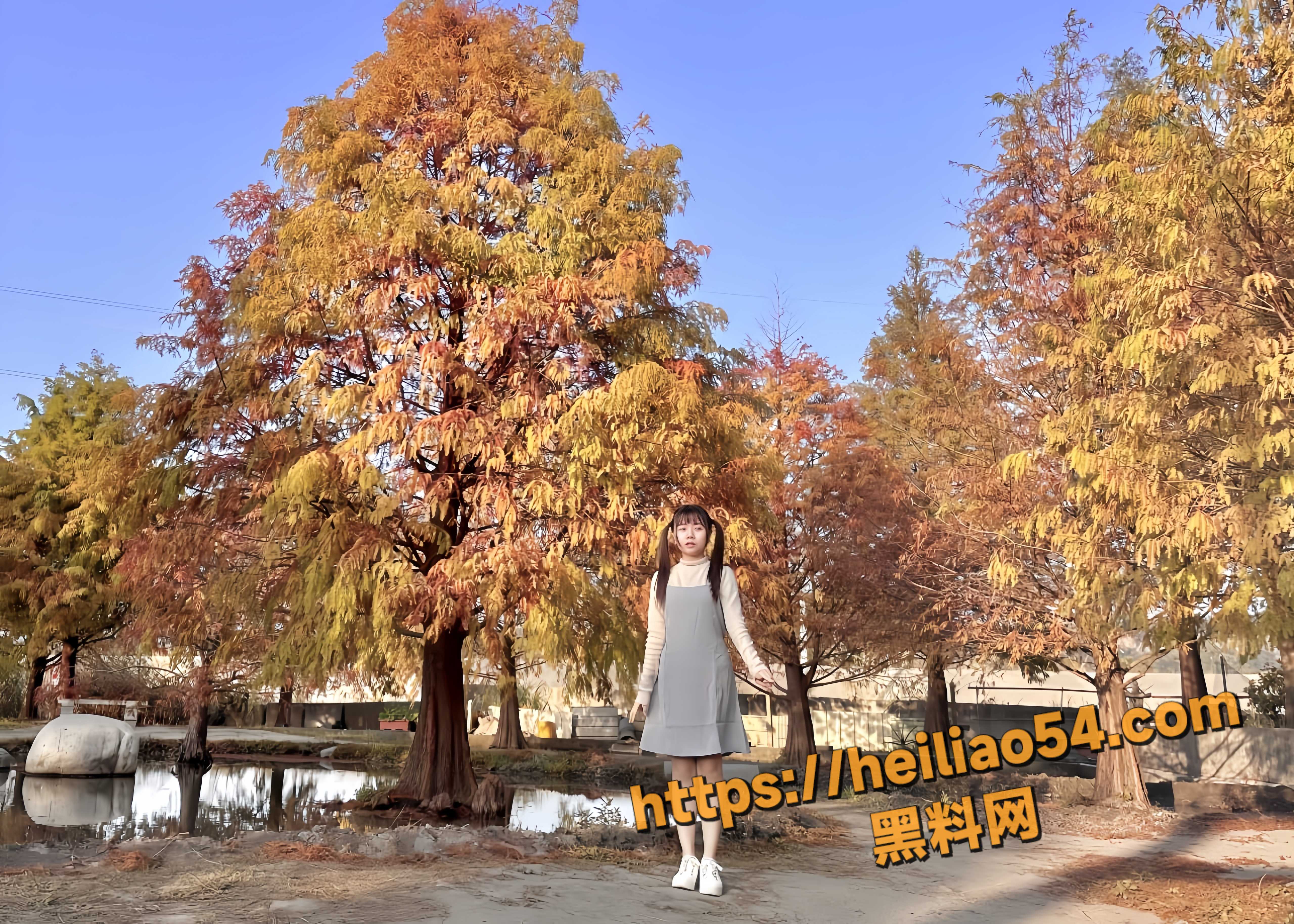 学生妹9