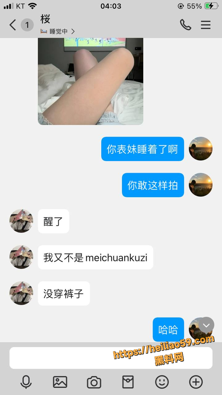 黄叶聊天记录5