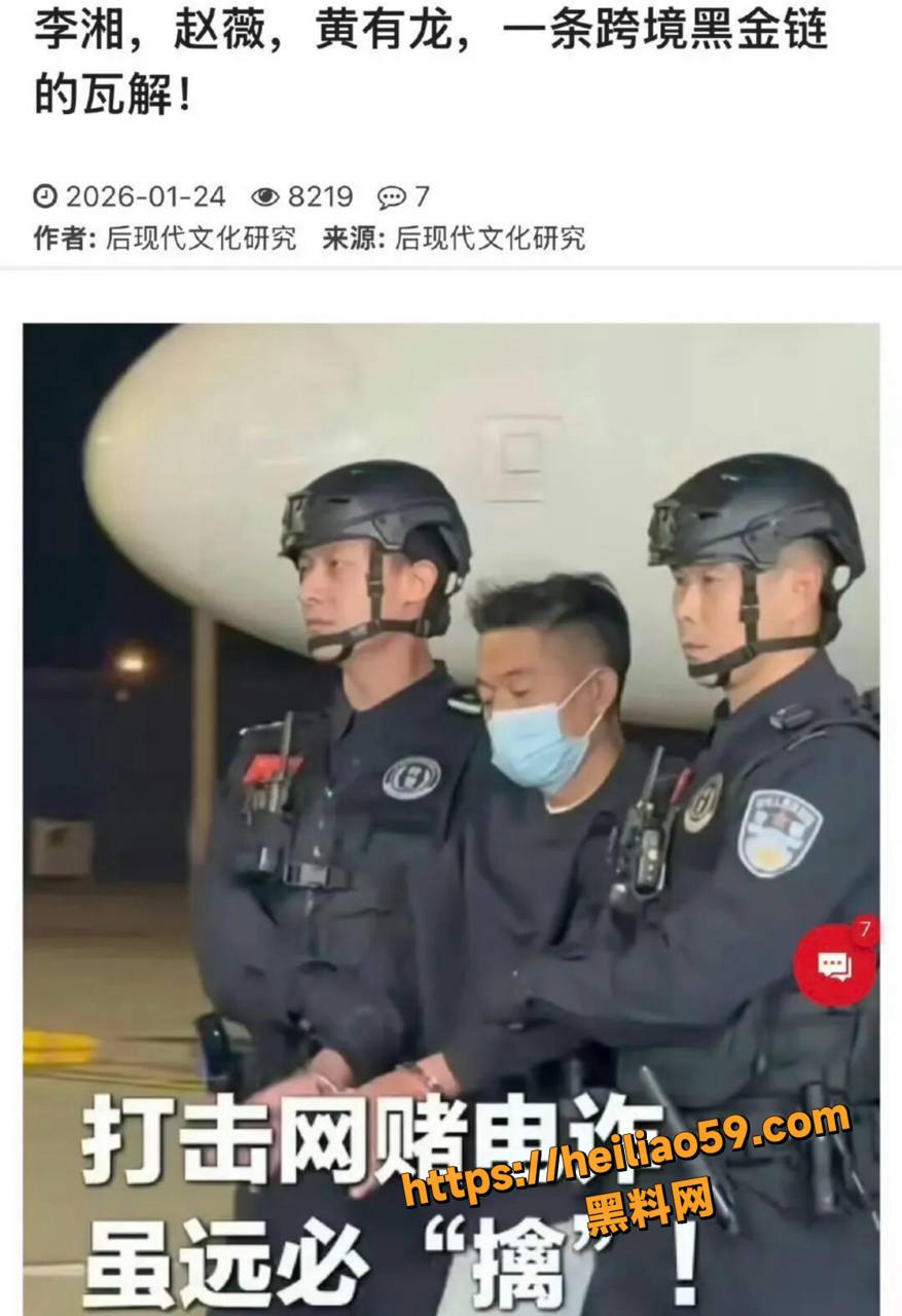 赵薇李湘联手洗钱黑幕7