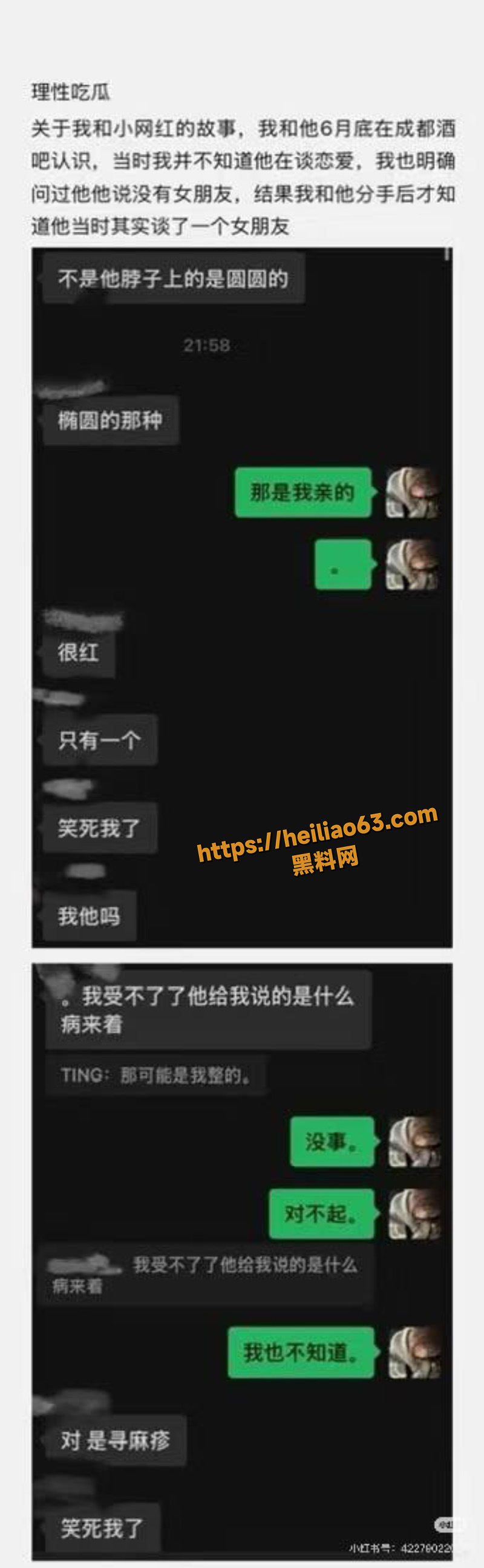 我与小网红的故事完整版4