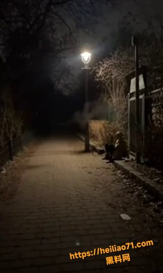 妹子深夜完成主人的任务3