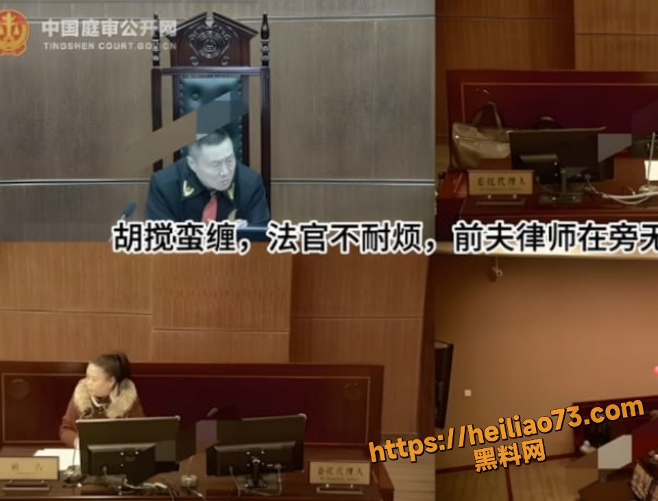 彭某骗赌客抵押房套利事件8
