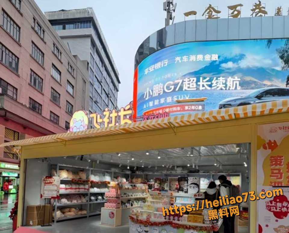 彭某骗赌客抵押房套利事件7