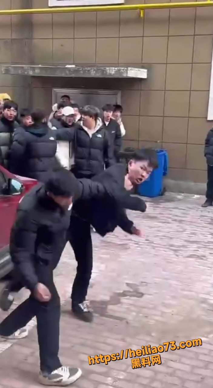 精神小伙群殴视频3