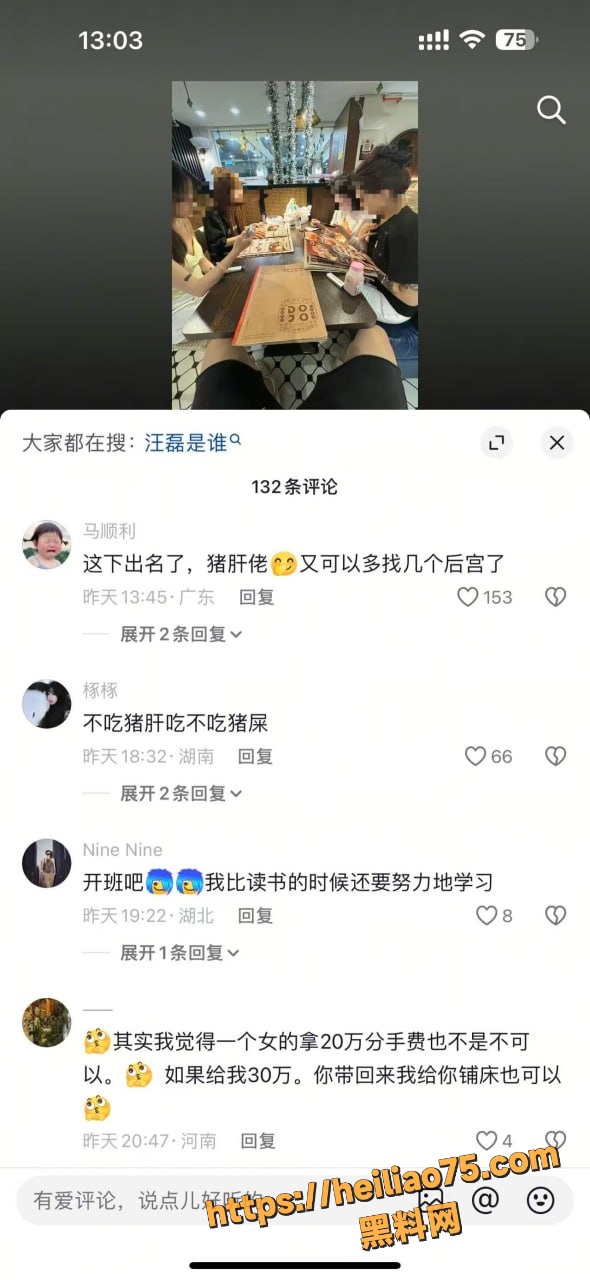 不吃猪肝塌房 6