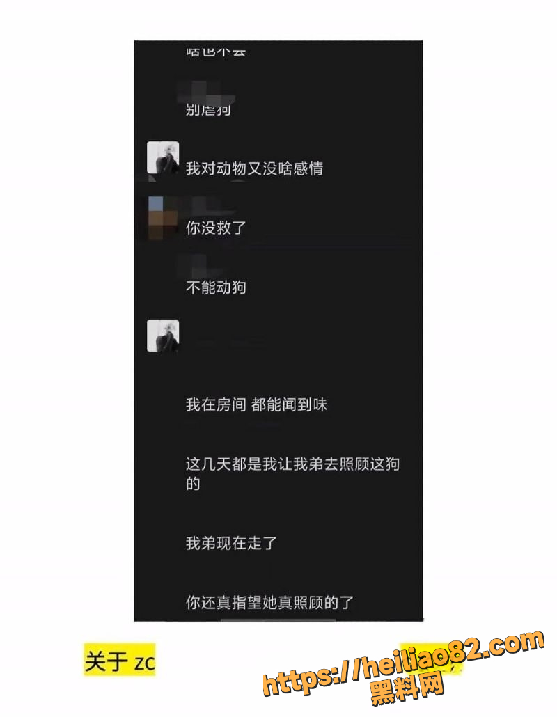 实锤小作文 6