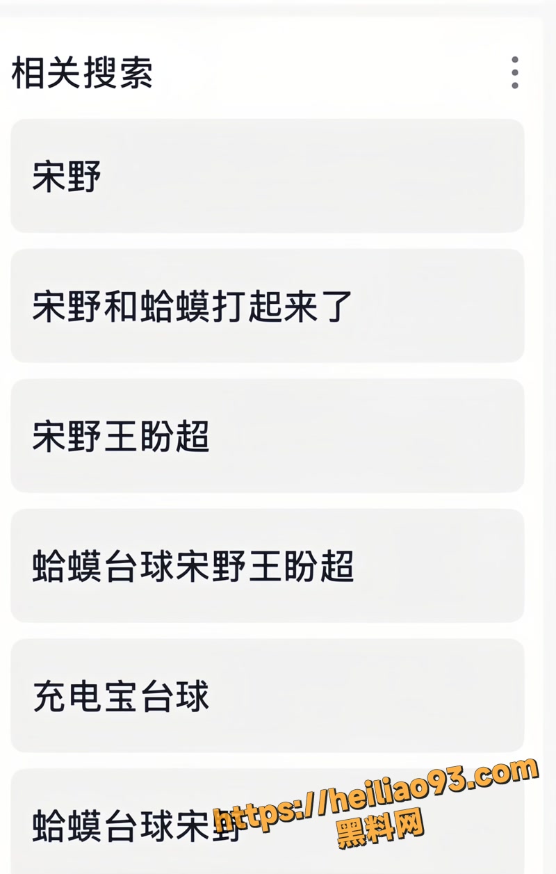 宋野 8