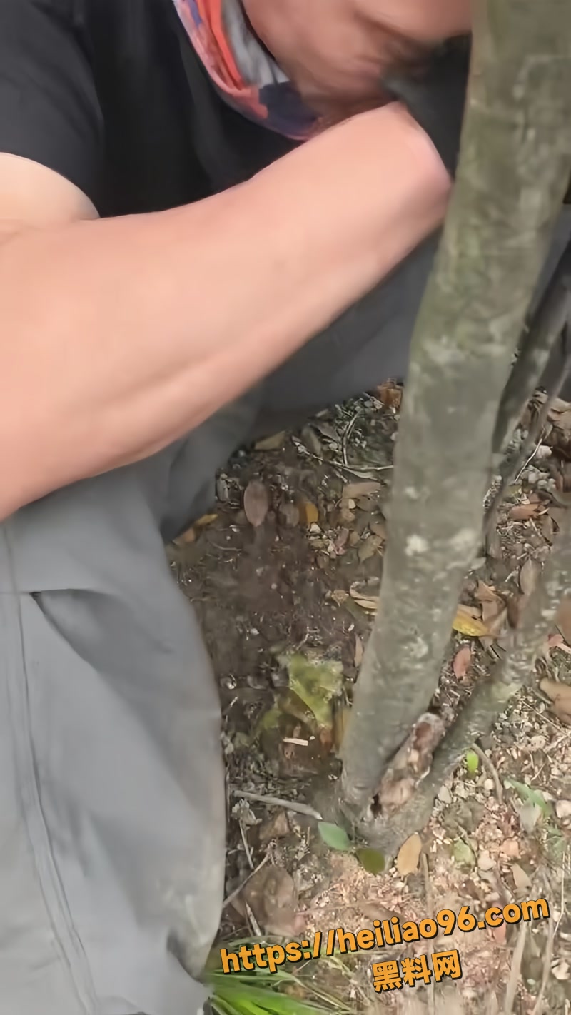 天才吃草中毒 8