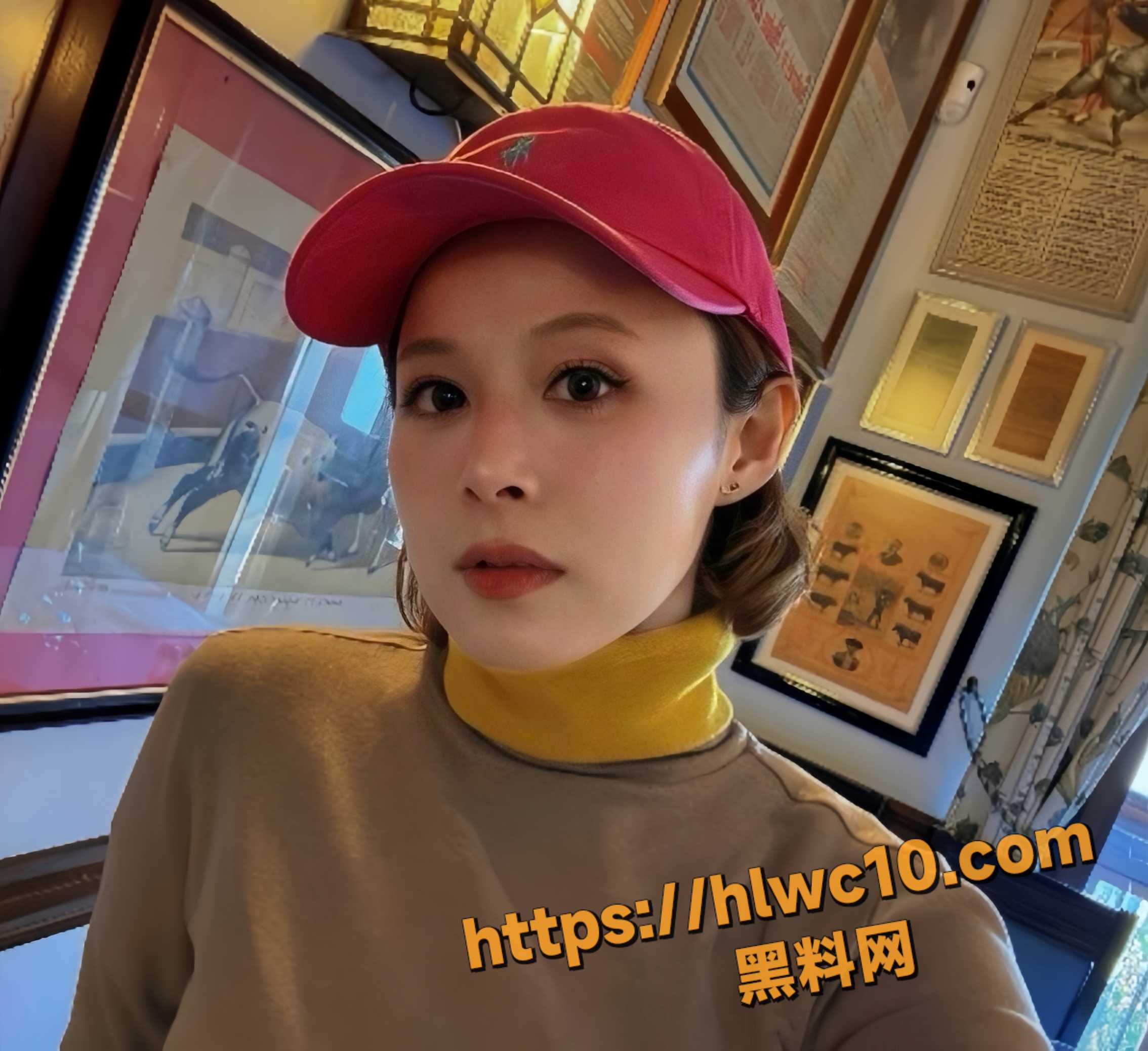 陆宏达不雅视频14