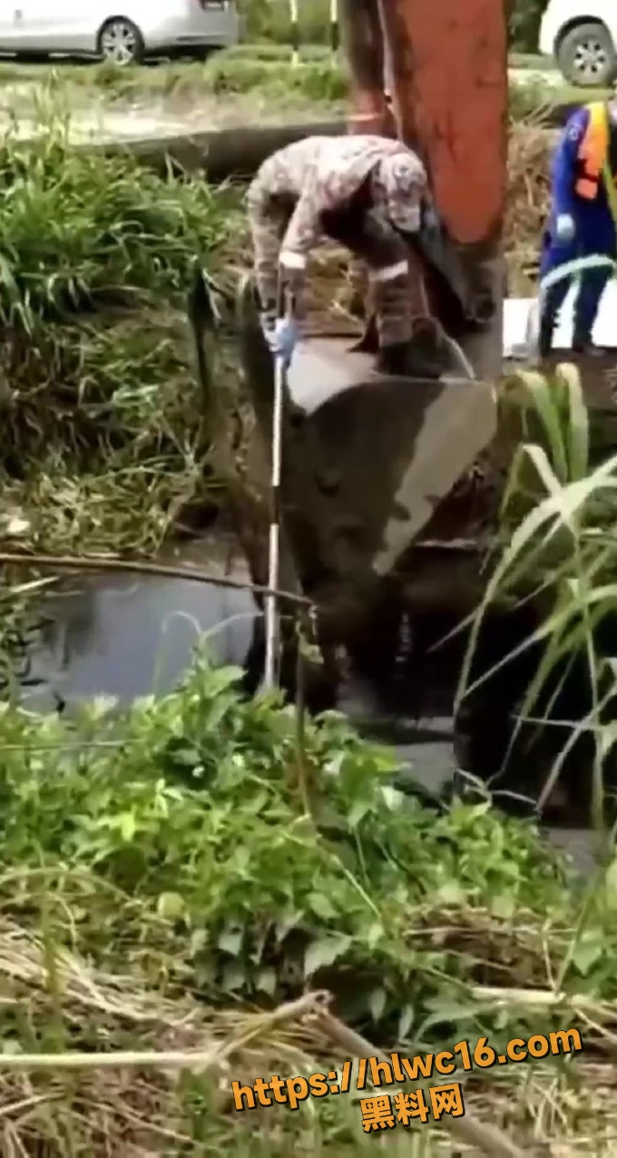 鳄鱼吃人真实事件3