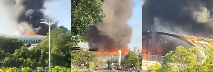 新闻
