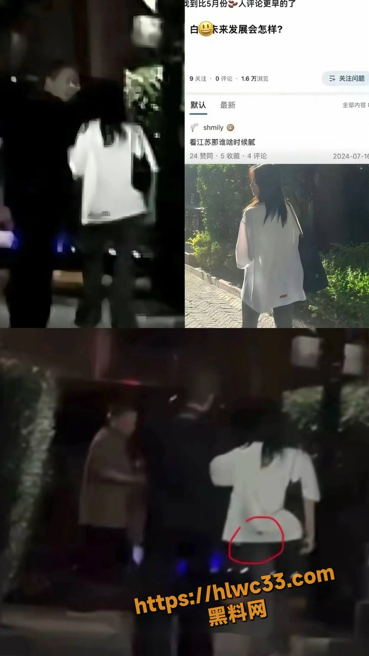 鐧介箍鐗垫墜閫涜