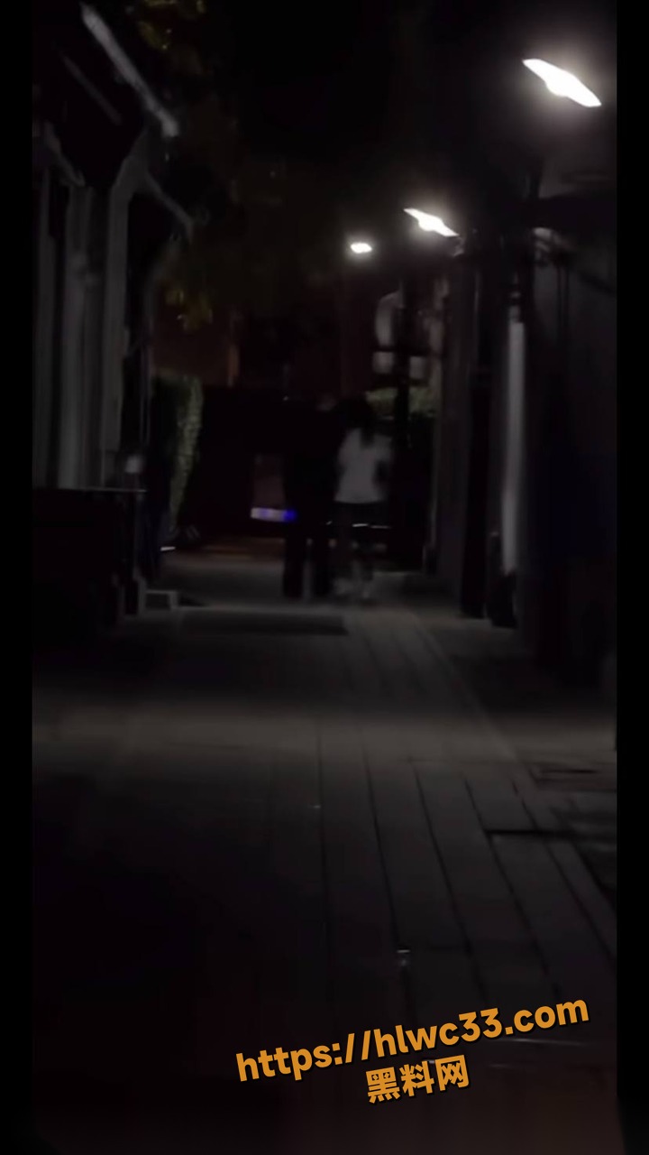 鐧介箍绉佸瘑瑙嗛