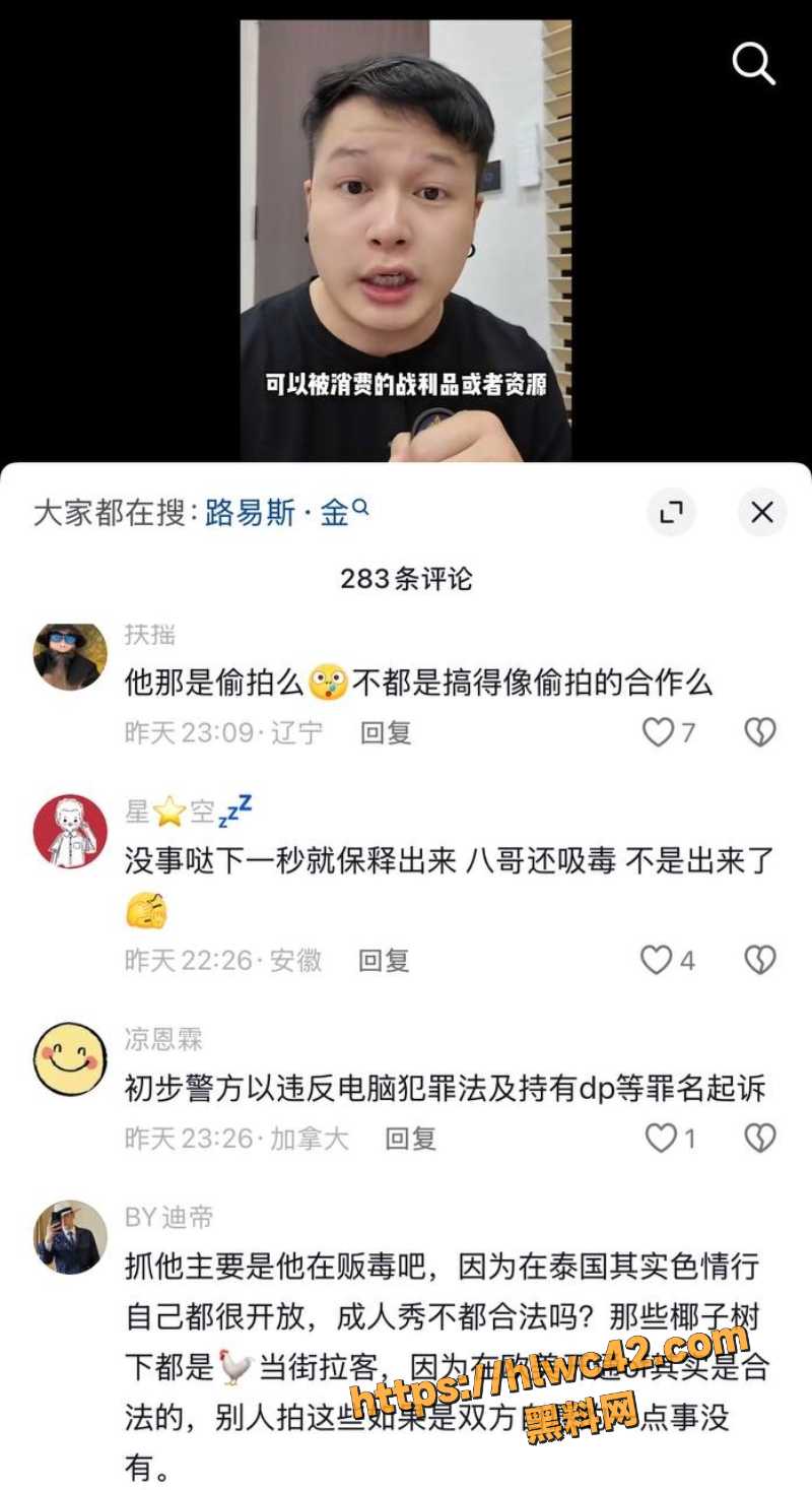 Louiskorea在泰国落网事件10