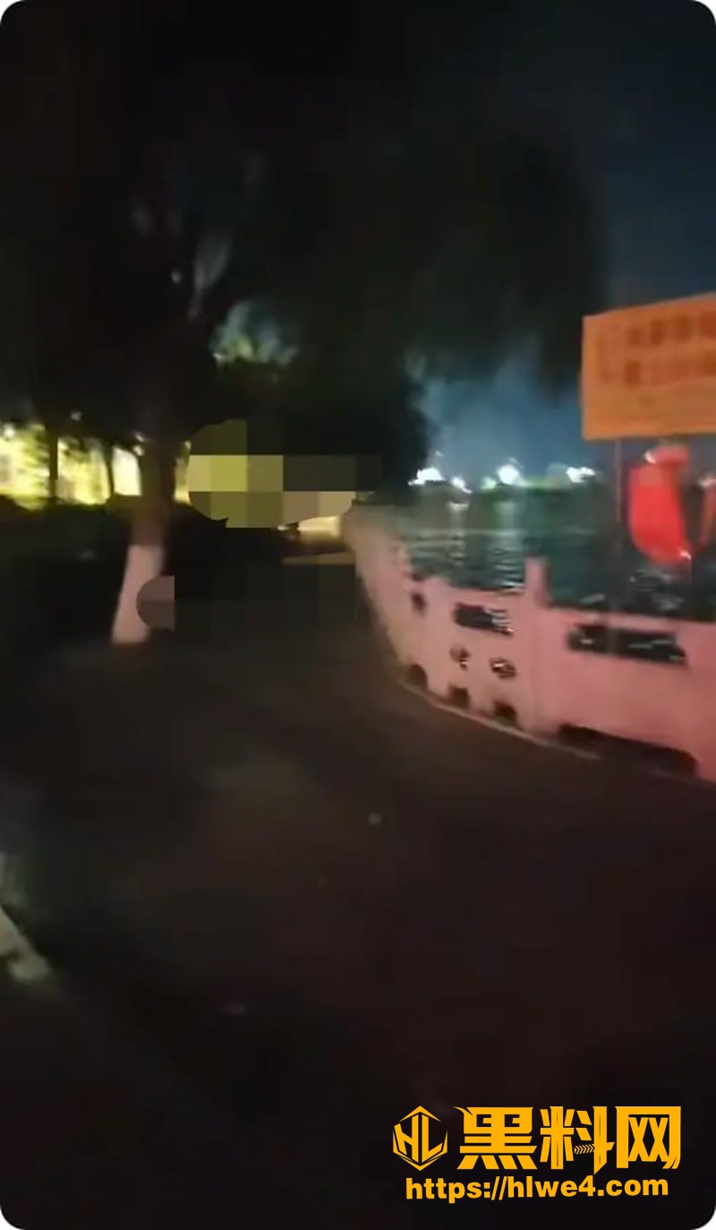 03睢县北湖公园深夜野战视频1 3wm
