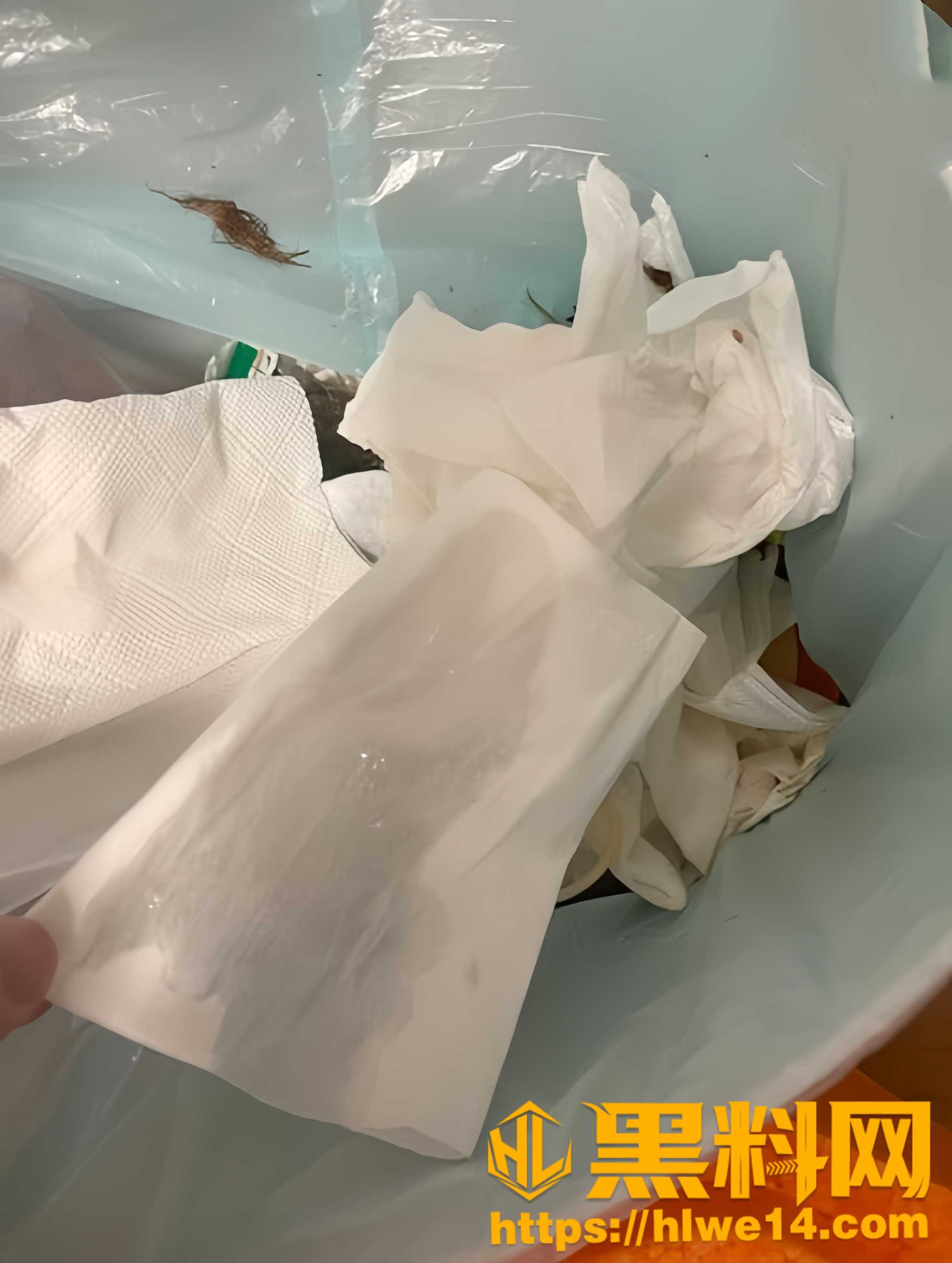 姐姐的奶味25